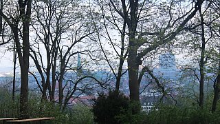 Hermannslauf 2015: Fotos vom Ziel an der Sparrenburg