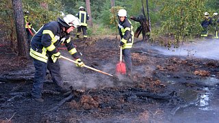 Waldbrand im Rhedaer Forst gelöscht