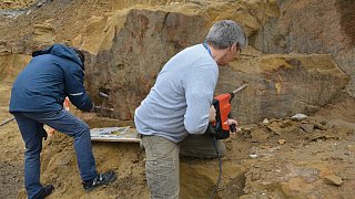 Fossiler Fund unterhalb der ehemaligen Jugendherberge