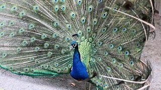 Die schönsten Fotos aus dem Tierpark Waldfrieden