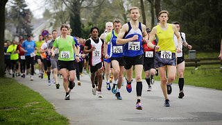 48. Harsewinkeler Volkslauf