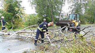 Sturm entwurzelt Bäume im Kreis Gütersloh