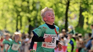 Fotostrecke Mini-Hermann
