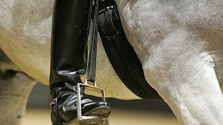 Die Unterschiede zwischen Western- und Englischreiten