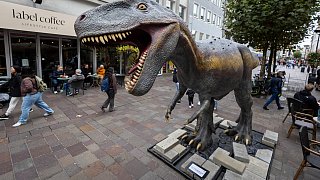 Paderborn: Diese Dinosaurier sind in der Stadt zu sehen