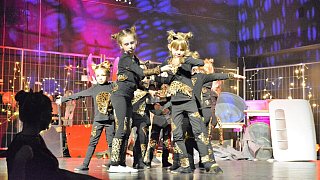 TSV-Jazztanz, Musical Dancing Cats
