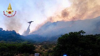 Hunderte Waldbrandeinsätze auf Sizilien - Hitze in Südeuropa