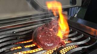 Johnny Grillmeister