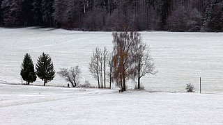 Glatte Straßen, weiße Pisten - Der Winter ist da