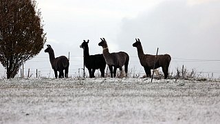 Glatte Straßen, weiße Pisten - Der Winter ist da