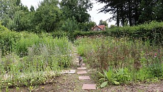 Garten von Mareike Hübner aus Löhne