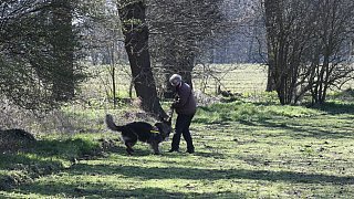 Mehr als 100 Einsatzkräfte suchen Vermissten 84-Jährigen