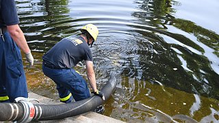 Fischesterben in der Ems: THW pumpt Wasser aus dem Fluss