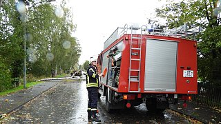 Sturm entwurzelt Bäume im Kreis Gütersloh