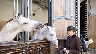 Paderbornerin macht Karriere an der Spanischen Hofreitschule in Wien