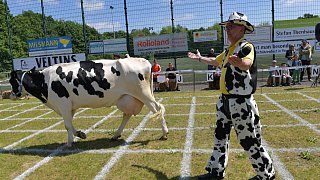 Geduldsprobe beim Kuhfladen-Roulette in Gütersloh
