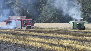 Stoppelfeldbrand in Niehorst