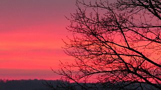 Kreis Höxter: NW-Fotoaktion Frühlingsanfang im Garten