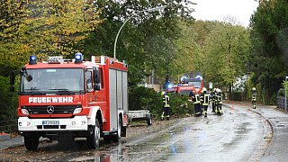 Sturm entwurzelt Bäume im Kreis Gütersloh