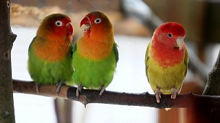Die schönsten Fotos aus dem Tierpark Waldfrieden
