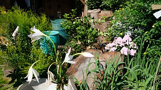 Der Garten von Lore und Dieter Halstenberg in Bad Oeynhausen
