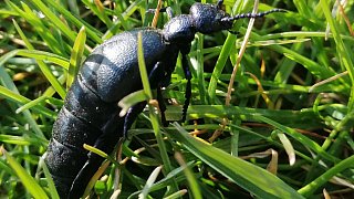 Kreis Höxter: NW-Fotoaktion Frühlingsanfang im Garten