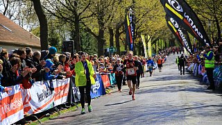 Hermannslauf 2016: Rund um das Ziel an der Sparrenburg