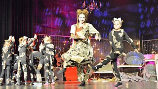 TSV-Jazztanz, Musical Dancing Cats