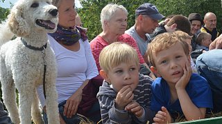 Borchen: Hoffest in Hamborn mit Tieren, Kunst und Bioessen