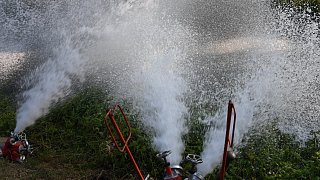 Fischesterben in der Ems: THW pumpt Wasser aus dem Fluss