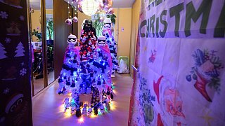 Neuer Rekord: 600 Weihnachtsbäume in einem Haus in Rinteln
