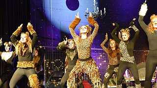 TSV-Jazztanz, Musical Dancing Cats