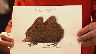 Igel-Zeichnungen von Promis in Verl