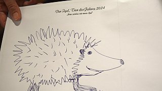 Igel-Zeichnungen von Promis in Verl