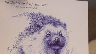 Igel-Zeichnungen von Promis in Verl