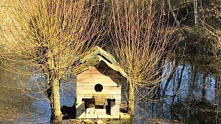 Kreis Höxter: Winter und Frühling
