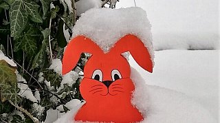 Kreis Höxter: Winter und Frühling