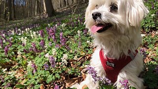 Kreis Höxter: Winter und Frühling
