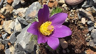 Kreis Höxter: Winter und Frühling