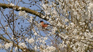 Kreis Höxter: Winter und Frühling