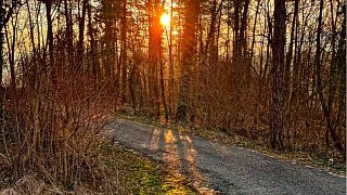 Kreis Höxter: Winter und Frühling