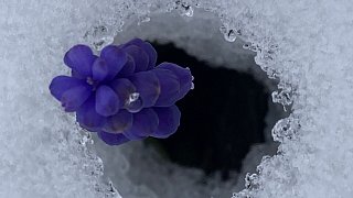 Kreis Höxter: Winter und Frühling