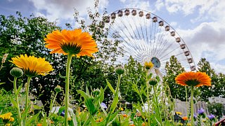 Libori 2023: Die schönsten Fotos aus Paderborn