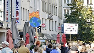 FFF-Demo in Bielefeld