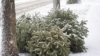 Paderborn: Schneefall in der Kernstadt