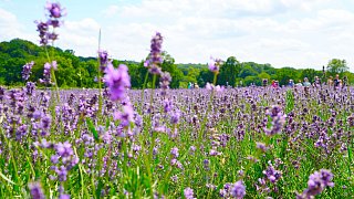 Das war die LGS 2023