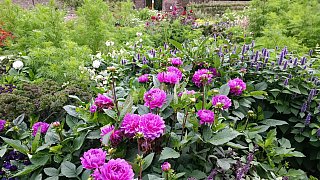 Das war die LGS 2023