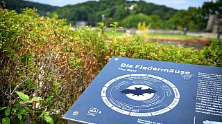 Ein Sommertag auf der Sparrenburg