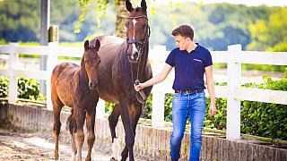 Erste Fohlenschau auf der Reitsportanlage Sonntag