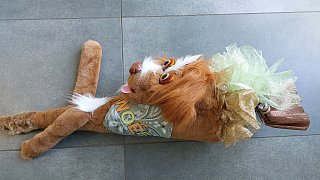 Schöne und besondere Schultüten aus ganz OWL